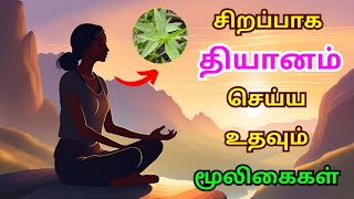 ⏰நீண்ட நேரம் தியானம்🧘‍♀️ செய்ய உதவும் காரணிகள் !! #healthtips #herbalife  #gingellyoil