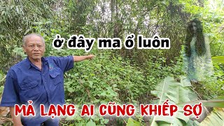 Nghe ớn óc Khu mả lạng ma ổ khiến cả vùng khiếp sợ