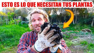 ESTO ES LO QUE NECESITAN TUS PLANTAS Y SOBRE TODO TU TIERRA