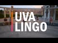 The UVA Lingo: Wahoos, Lawnies and Grounds