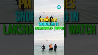 PM Modi Goes Snorkelling In Lakshadweep | Watch