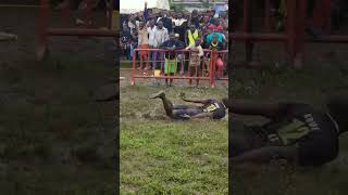 Football fans in Limbe - Cameroon 😂 #shorts #football #fans