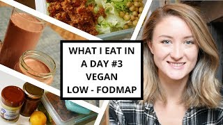 What I Eat In A Day #3 Vegan & LowFODMAP For IBS + Recipes!
