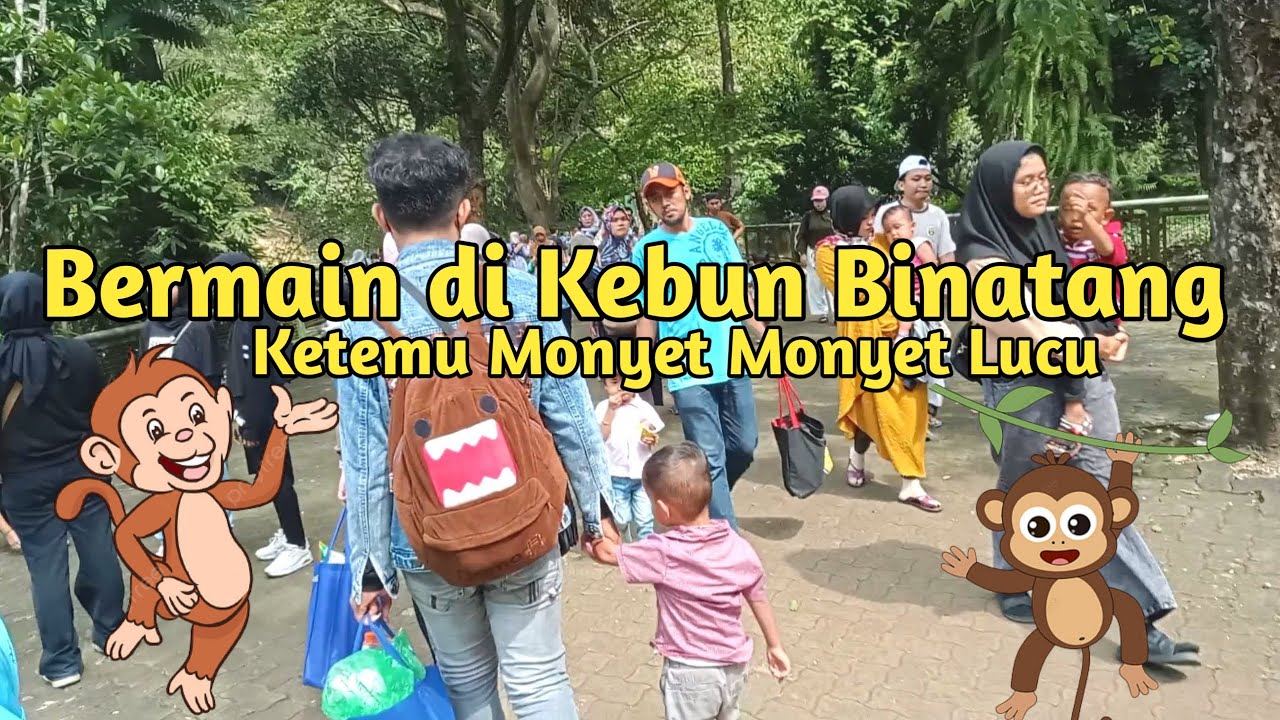 Senangnya Bermain Di Kebun Binatang Melihat 🐒 Lucu Sekali - YouTube