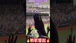 20241113 世界棒球十二強賽 韓國VS中華 台灣英雄 陳晨威 一棒四分滿貫全壘打 #台北大巨蛋 #陳晨威 #12強 #台韓大戰