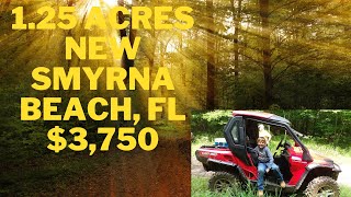 $3,750  -1.25 Acres New Smyrna Beach, FL- VOLUSIA COUNTY, FL/ 8306-00-08-1440