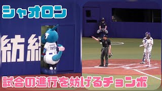 シャオロン 試合の進行を妨げるチョンボ