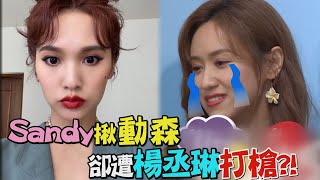 【抓蝴蝶】憲哥不要看!Sandy吳姍儒瞞爸爸迷動森 揪楊丞琳一起玩卻遭打槍?!