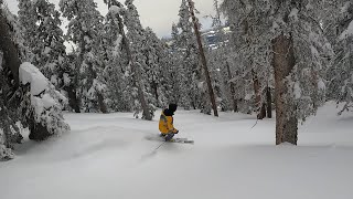 Finding the Trees | Arizona Snowbowl March 23 2023