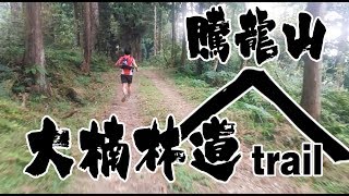 【傑克Jack】Vlog 大楠林道之騰龍山