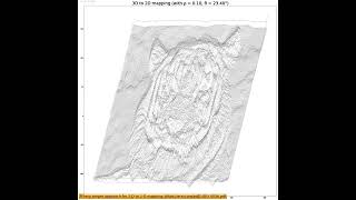 Visualization | 2-D image intensity function | 3D to 2D mapping | Algorithm | python