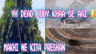 dead body mili// bhuli bhatki aatma sade ghr aa gai