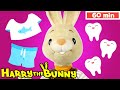 Baby Learning First Words w Harry the Bunny | Sorting & Fun for Babies | Educational Videos for kids