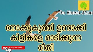 നോക്കുകുത്തി ഉണ്ടാക്കി പക്ഷികളെ ഓടിക്കാം / scarecrow making simply Bomma making/ How to make Kolam