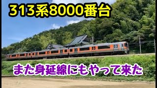 313系8000番台が再び身延線にもやってきた