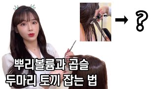 뿌리볼륨펌과 곱슬 매직으로 두마리 토끼 다 잡는 비법 전수! 미용인 필독