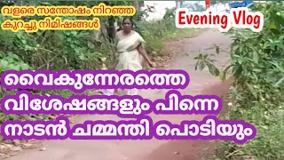 എന്റെ വൈകുന്നേരത്തെ സന്തോഷം/നല്ല നാടൻ ചമ്മന്തി പൊടി/day in my life/my way by reena