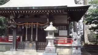 武蔵国　散歩　2014年4月9日　志木市　舘氷川神社