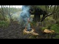 Building wood survival shelter in wildlands  Bushcraft & Campfire grilled meat