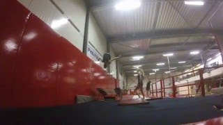 Flying Lions | Diverse gymnastic stunts