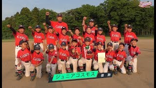 【少年野球】20180422佐倉リーグジュニア大会決勝ジュニアコスモスVS西志津クラブ