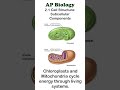 AP Bio - 2.1 Chloroplasts and Mitochondria #apbiology #cellbiology