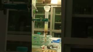 bc1 protein complex purification from bacterial cromatophores