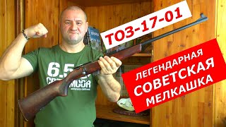 Неубиваемая Мелкашка ТОЗ-17 !!! Почему до сих пор популярна?