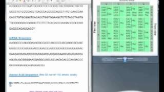 Using Algorithms to Align Sequences