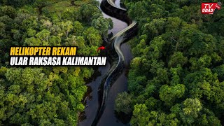 Heboh!! Penampakan Ular Raksasa Sepanjang 30 Meter Terekam Kamera Helikopter di Hutan Kalimantan