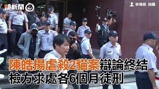 陳皓揚虐殺2貓案辯論終結　檢方求處各6個月徒刑