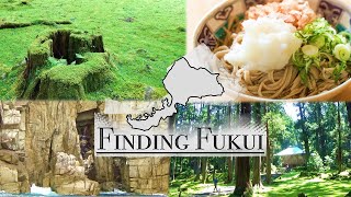 Finding Fukui / Tourist Spots in Fukui Prefecture