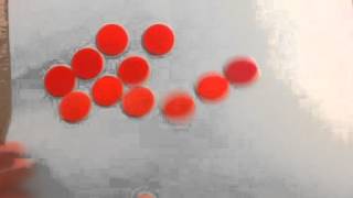 Integer chips by Gregory