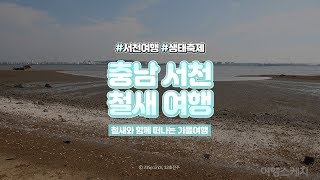 ⏰33세컨즈ㅣ전주근교여행지 추천, 2019 서천철새여행