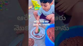 ఆరేళ్ల నేను ఆరు మొక్కలు నాటాను!#plants#telugu#garden#share#shorts#tranding#gardening#grow#garden