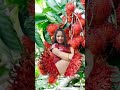 sweet rambutan fruit #shortvideo #asmr #viral #meme #yummy #amazing