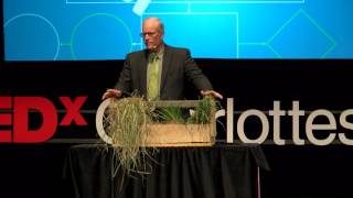 Cows, Carbon and Climate | Joel Salatin | TEDxCharlottesville