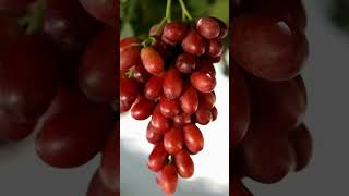 Cherry grapes?🧐