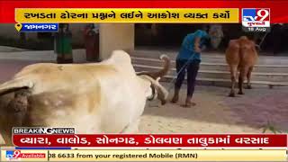 Congress leaders bring cattle to Jamnagar Corporation office to highlight their protest | TV9News