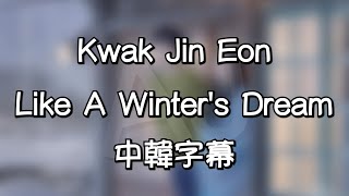 【AJ 126】Kwak Jin Eon(郭真言)-Like A Winter's Dream(就像冬天的夢一樣) 中韓字幕[天氣好的話，我會去找你OST Part.1]