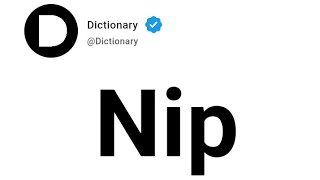 Nip Meaning In English