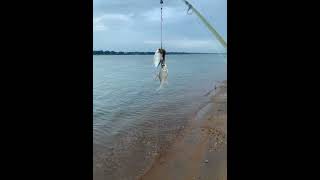 ស្ទូចត្រីនៅកោះដាច់(fishing at koh dach river)