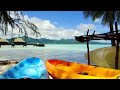 Underwater Photography in French Polynesia: A Diver’s Guide to Stunning Shots