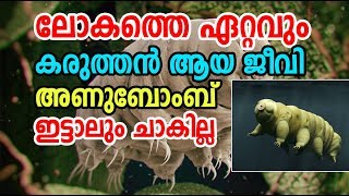 അണുബോംബ് ഇട്ടാല്‍ പോലും ചാകാത്ത ജീവി ! ടാര്‍ഡിഗ്രേഡ് ! Most Strongest Animal