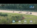 20231015 china open horse racing wuhan 4yo 1000m race 3 2023中国速度赛马公开赛（武汉站）第3场 4岁及以上纯血马 1000米