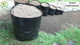 Polybag Ukuran 50x50 cm Besar Hitam 1 kg Polibag Tumbuhan Bunga Sayur Rumah Hias Murah