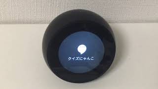 「クイズにゃんこ」編 ～Amazon Echoの全Alexaスキル調査PJ～