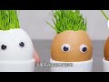 鸡蛋站起来了 how to stand an egg on end