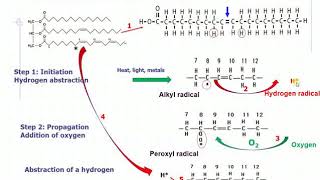 Chemical Changes in Fats & Oils: Lipid Oxidation