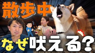 【犬】吠えたら〇〇はNG❌吠える原因と正しい対応について獣医師がお伝えします！